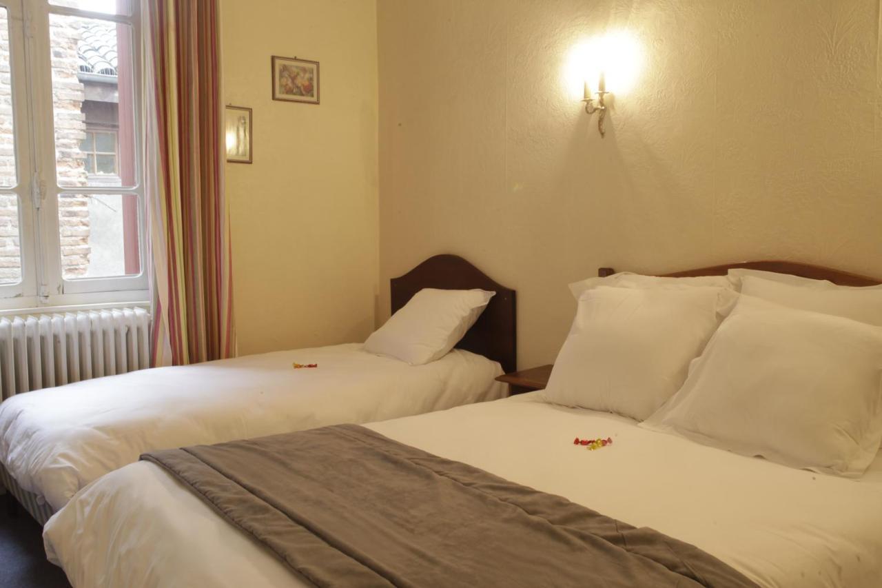 Logis Hotel Saint Clair アルビ エクステリア 写真